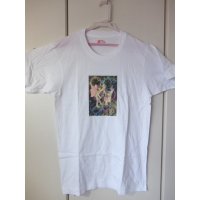 妖精絵柄のＴシャツ